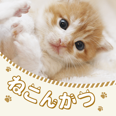 猫カフェ