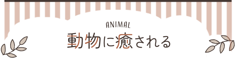 動物に癒されるイベント