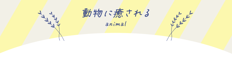 東海の動物に癒されるイベント