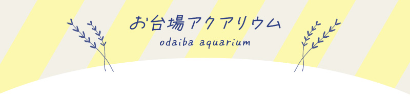 お台場アクアリウムイベント