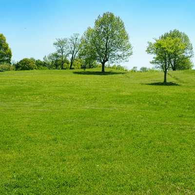 会場へのアクセス