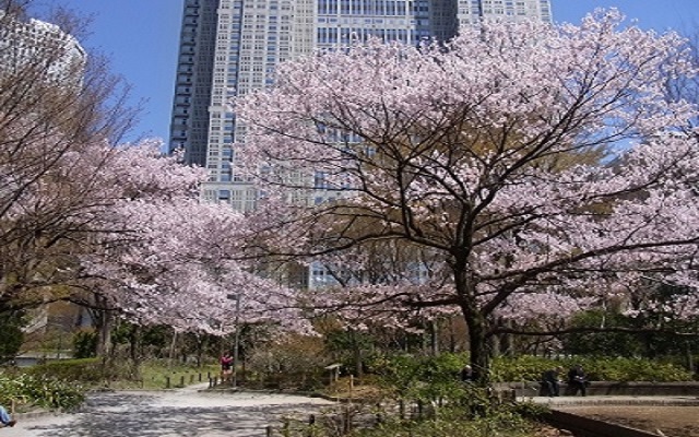 婚活パーティー新宿中央公園