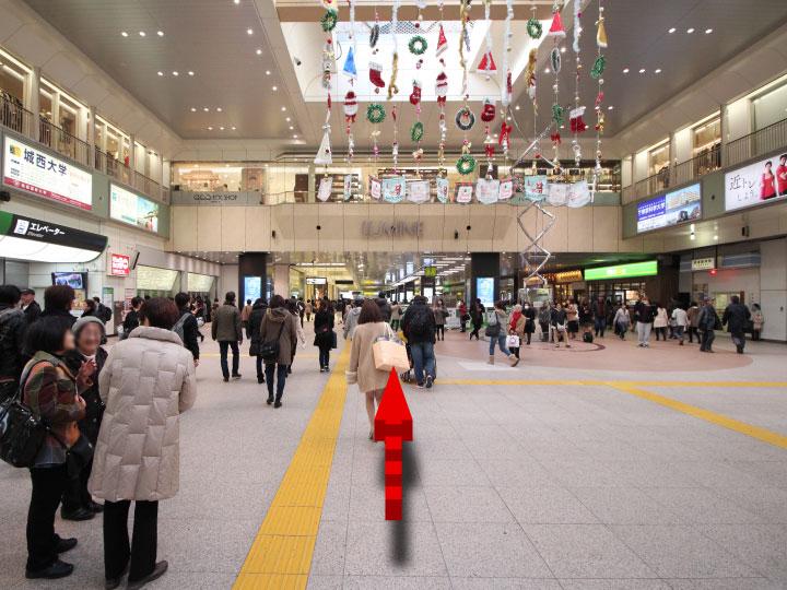 中央改札（南）もしくは中央改札（北）を出て、中央自由通路の「まめの木」前を通り過ぎて西口の方向へ。