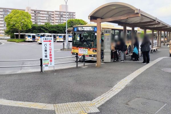 指定のバスに乗り、「西ひかりが丘」で下車
