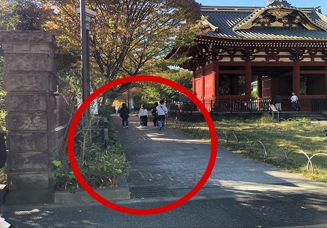 左に旧台徳院霊廟惣門（赤い門）が
集合場所です。