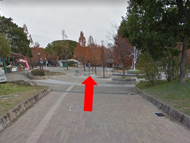 まっすぐ進むと奥に長居植物園の正門が右手に、見えてきます。