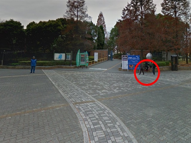 赤い丸の位置、正門横にスタッフがおりますので、お声がけくださいませ。
（花と緑と自然の情報センターまで入らないようにお気を付けください。）