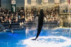 約30名が参加♪《水族館コン》