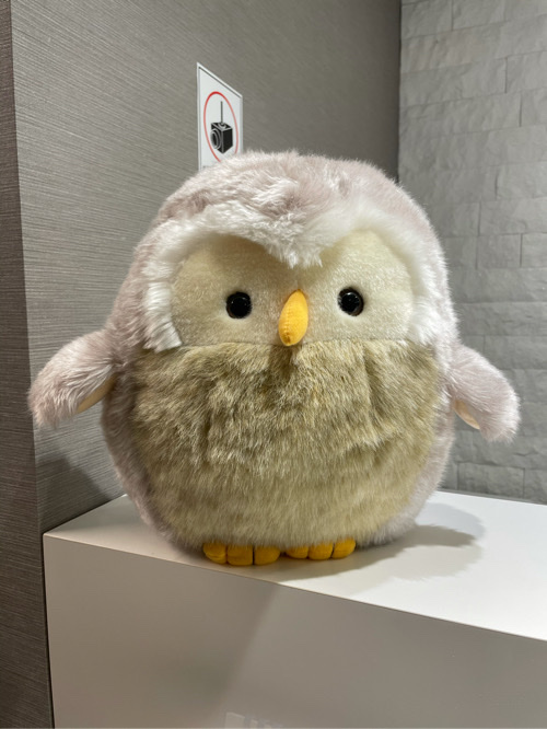 早起きは三文の徳♡