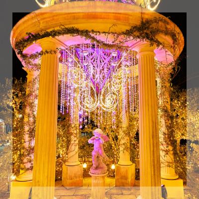 イルミネーション合コン＠ひらかたパーク