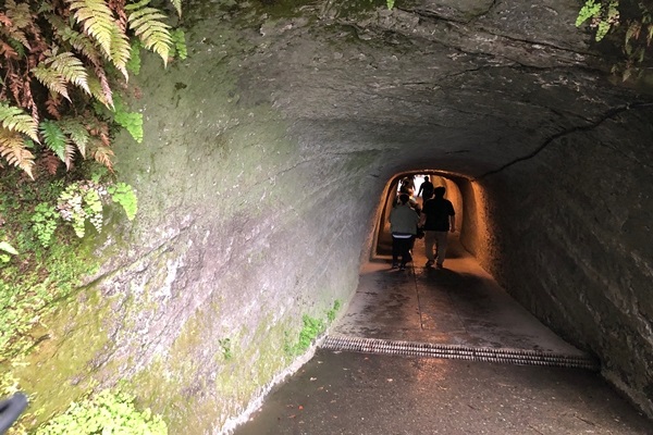 《当日雨でも大丈夫☆山登りハイキング》気軽にプチ登山♪
