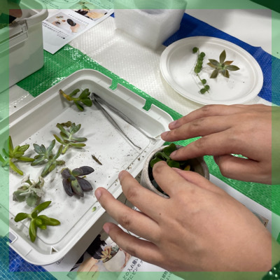 ＼多肉植物の寄せ植え体験／体験を通して自然と距離が縮まる♪