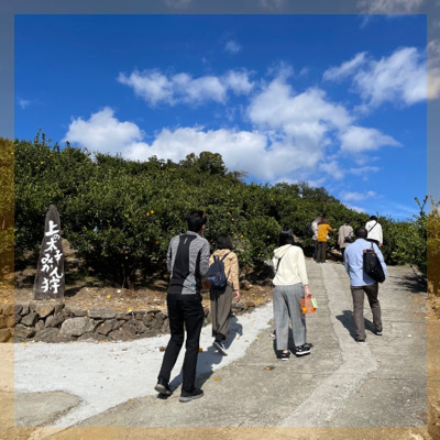 ＼みかん狩り☆食べ飲み放題／持ち帰りも可能な体験型企画♪