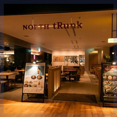 梅田イタリアンディナー〈 コース料理＆飲み放題付き 〉