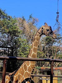 ＼動物で癒される♡in 横浜／同年代でグループ散策♪《動物園さんぽ》