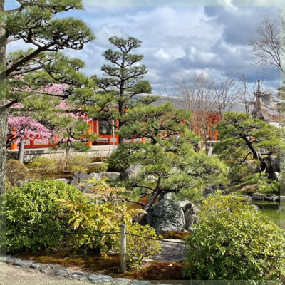 三十三間堂お散歩＆調香体験プチツアー