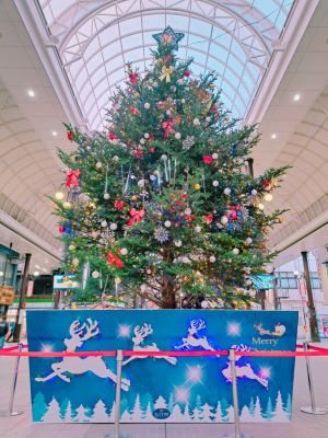 満席御礼♪アプリは怖い、やりとりが面倒くさい！行けば出会える婚活パーティ