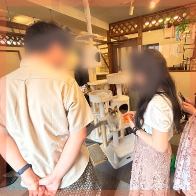 ＼店舗貸切ねこんかつ in 神戸／動物好き同士で出会う♥おやつタイムあり
