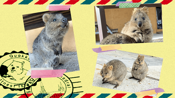 ＼大部屋貸切り！人気リゾートへご招待♪／お家デート風♡疑似オーストラリアツアー