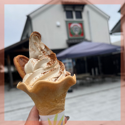 見て、聞いて、食べて、出会いも満喫【岡崎八丁味噌蔵見学ツアー】