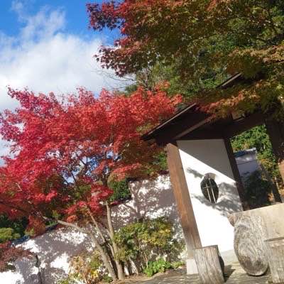 紅葉狩りin八事興正寺♡落ち着いた場所でゆっくりおさんぽ