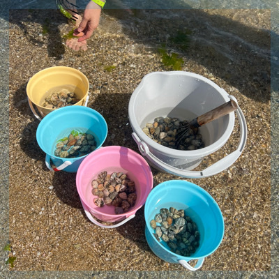 《季節限定》潮干狩りコン同年代でワイワイ♪アサリのお土産付き