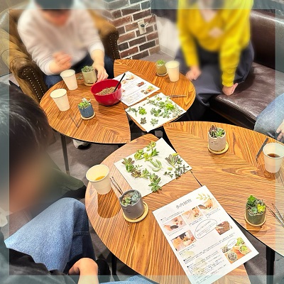 自然と距離が縮まる《多肉植物の寄せ植え♪》