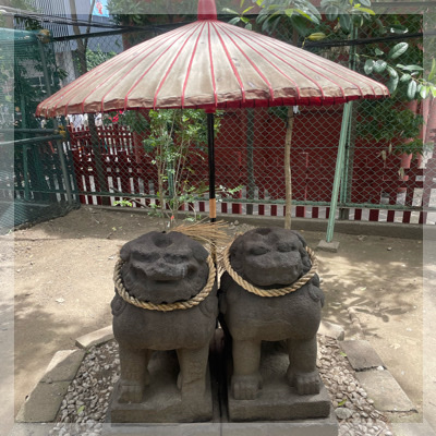 スタッフ同行なし！ミッションに挑戦しながら浅草を自由に散策しよう♡