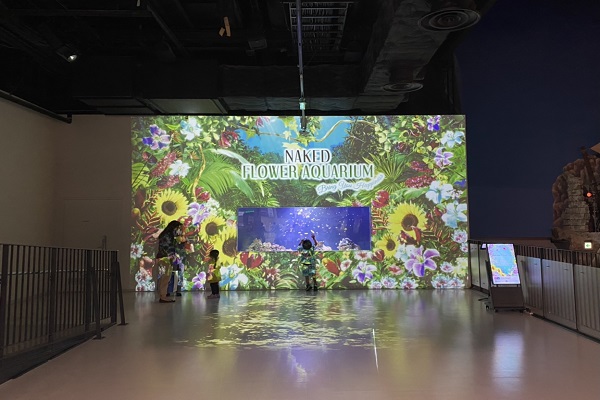 同年代で楽しむ水族館コン♪《アクアパーク品川》幻想空間で出逢う♡