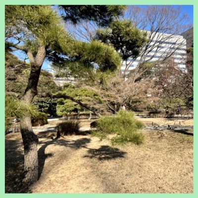 ＼満席で開催／デート感覚で楽しむ♪築地を散策、食べ歩きツアー