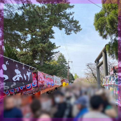 《奈良新企画》お花見さんぽin郡山城跡♡季節を感じながら交流しましょう♪