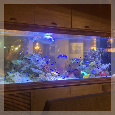 ＼熱帯魚が泳ぐ会場を貸切╱【最大40名】お酒を片手に夏祭りコン