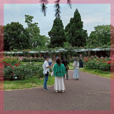 1対1トークin京都府立植物園 あじさいを楽しみながらまったり話そう