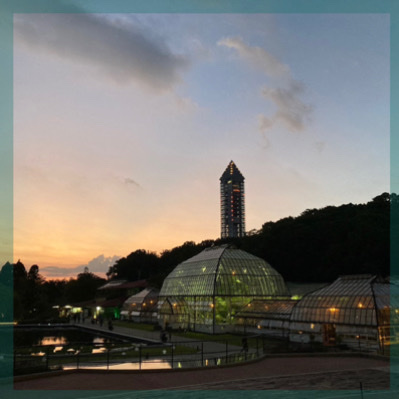 【期間限定♡夜の東山動物園おさんぽコン】
