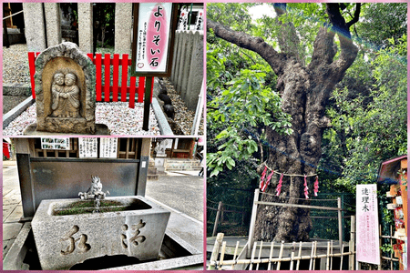 女性限定♡恋愛成就祈願♡【恋の３社巡り】