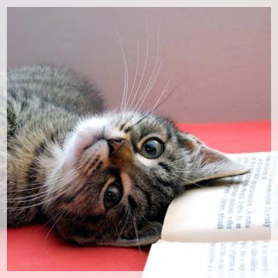 猫と一緒にまったりねこんかつ♡