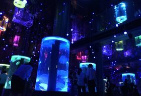 約30名が参加♪《水族館コン》