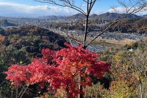 ＼秋限定！犬山紅葉狩り♡恋活縁結びおさんぽコン／