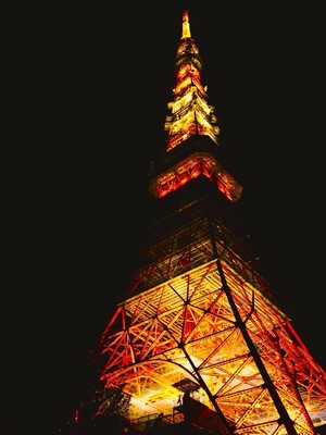 《お散歩コン☆》スカイバスで夜の東京夜景&イルミネーションを満喫♪