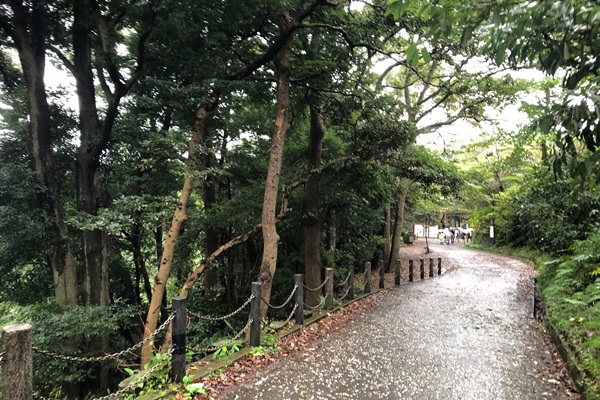 《当日雨でも大丈夫☆山登りハイキング》気軽にプチ登山♪