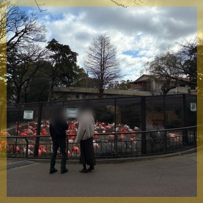 ＼デート気分でグッと距離が縮まる♡／【王子動物園】全員と話せるペアさんぽ