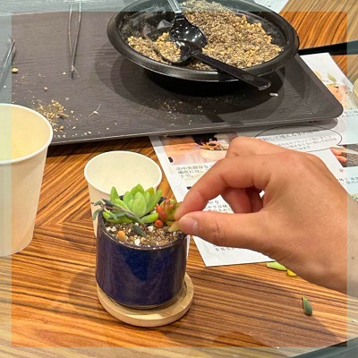 自然と距離が縮まる《多肉植物の寄せ植え♪》