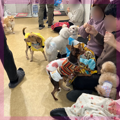 〖犬カフェコン☆貸切〗動物好き同士で♪話が弾みやすい人気の企画！ドリンク付き