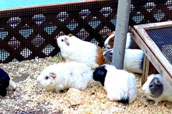 ＼まったり動物で癒される♡in 横浜／グループ散策♪《動物園おさんぽ》