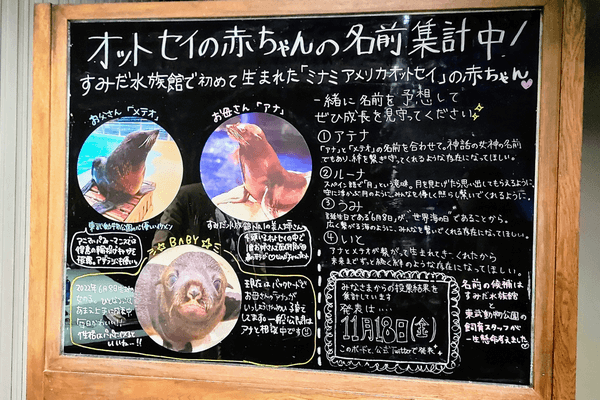 《すみだ水族館を満喫》王道デートコースでときめきたい男女♪