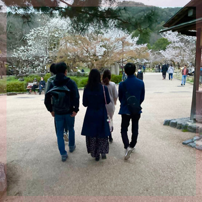 「祇園の夜桜」in円山公園この季節ならではの出会いをお届け♡