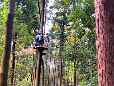 《スリル満点な冒険の森へ♪》衝撃！ドキドキの本格アスレチック体験★
