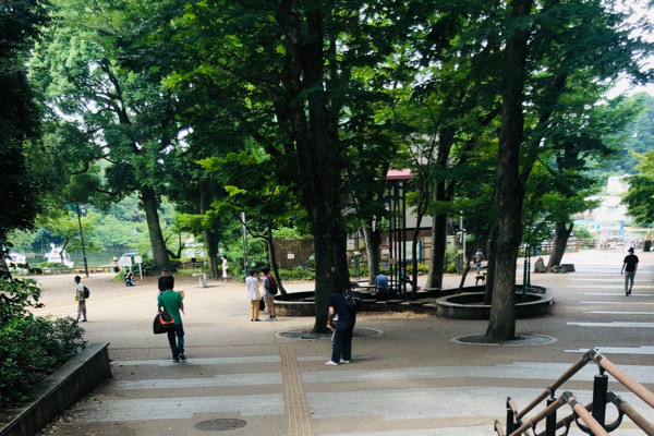 《1対1トーク付きおさんぽ♡井の頭公園》澄み切った空気の中をのんびり歩こう♪