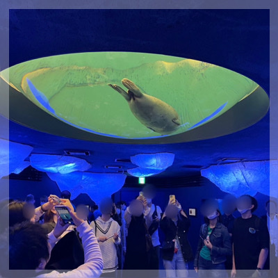 【夜の海遊館☆最大16名】✓お出かけが好き✓グループで盛り上がる