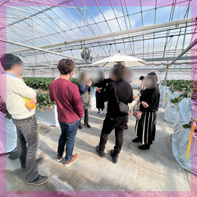 ＼いちご狩りコン♡30分食べ放題／いちごと共にあま～い出会いを♡